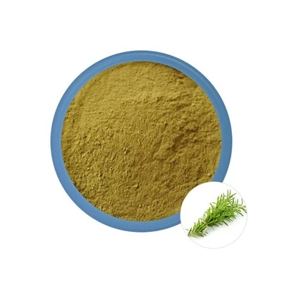 Rosmarinpulverbulk